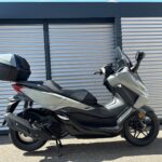 Honda FORZA 125 / MY 2026 / NEU / "GOLDEN SUMMER"